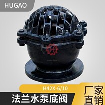 H42X-10 pump bottom valve check valve cast iron lift check valve suction bottom valve flange dn100150