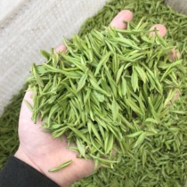 Tea farmers direct sales Anji white tea 2021 new tea strong fragrance before rare white tea Alpine green tea bulk 250g