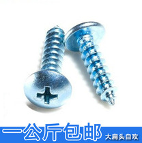 Hardened galvanized large flat head self-tapping screw Big Head self-tapping nail pointed tail wood screw flat round head M3M4M5M6