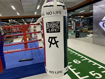 Avarez boxing sandbag Hanging sandbag Sanda fighting martial Arts fitness vocational training equipment Solid