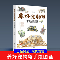 Genuine pet turtle hand drawing Pet turtle breeding technology Fast-paced slow life health book Turtle disease diagnosis and treatment and prevention technology Efficient breeding technology book Water turtle semi-water turtle tortoise breeding book