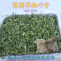 Purple Flower Clover Grass Leaf Whole Leaf Rabbit Dragon Cat Dutch Pig Feed Grain Pure Leaf Young Rabbit Food 1000 grams