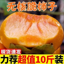 10kg of fresh crispy Persimmon Yunnan crispy Persimmon fresh fruit seasonal chocolate crispy Persimmon sweet persimmon