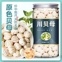Chuan Fritillaria Chinese herbal medicine official flagship store flat Fritillaria pine shellfish Tibetan Fritillaria powder non-special grade wild cough granules