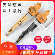 Hulusi musical instrument beginner c downgrade B children Primary School students professional playing adult male and female self-study