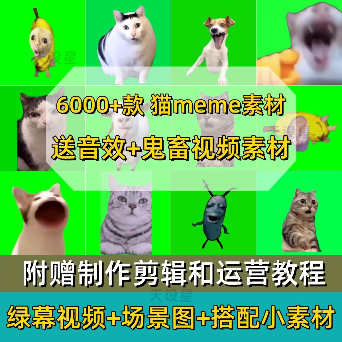 猫meme素材-猫meme素材促销价格、猫meme素材品牌- 淘宝