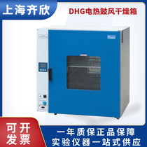 Shanghai Qixin DHG-9030A 9070 9140 9240AD desktop electric constant temperature blast drying oven