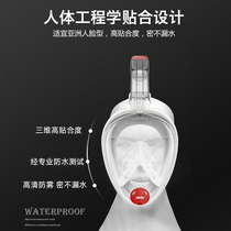 New adult snorkeling triple-treasure all-dry HD anti-fog diving mirror double full diving mask 2022