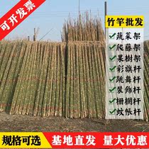 Thin bamboo pole stick vegetable garden pole skirt bean horn shelf Vegetable garden fence tomato shelf Summer decoration