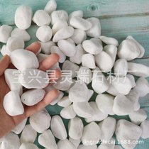 Japanese white stone white pebbles four Yechuan factory wash stone white stone terraystone terrazzo pebbles)