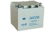 Supply Guangyu battery 6-GFM-24 maintenance-free lead-acid battery 12V24AH power distribution cabinet DC screen
