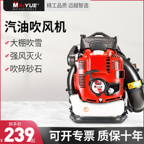 Maier back negative type snow blower with snow and high power wind extinguisher petrol blower site Fire fall leaves
