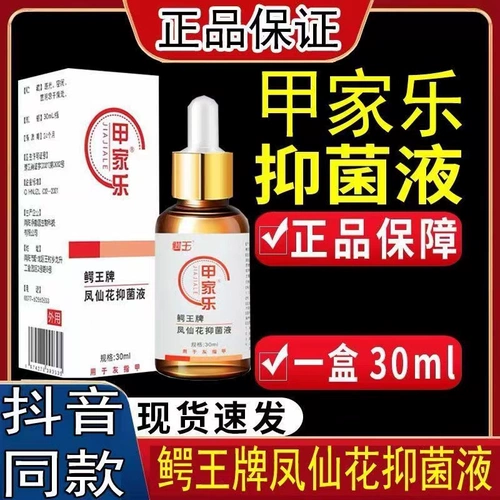 Jiajiale культивировал дзю -африканский сказочный цветок Aobacterial Bacterial Acern ACER Crystal Camera Kling Star официальный флагманский магазин yx