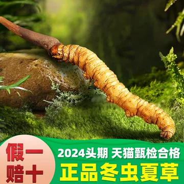 ノエビア(NOEVIA) 西藏冬虫夏草 韓*】様 NOEVIR ノエビア チベット