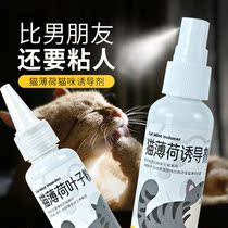 Kitty Happy Water Cat Mint Spray Inducers Infant Cat Supplies Teasing Cat Appeasement Soothing Spray Cat Wine Fragrant Water