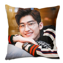 Zhang Han pillow double-sided custom made private custom Birthday gift cushion Photo pillow diy star cushion cover