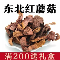Northeast local specialties new wild red mushrooms pine umbrellas red pine umbrellas pine mushrooms edible fungi 250g