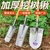 Agricultural tool Shovel Outdoor Dug Earth Iron Shovel Iron Shovel Manganese Steel Thickened Full Steel Dig Tree Shovel Tree Root Shovel Dug Pit Special