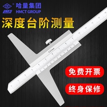 Ha Liang Guanglu stainless steel depth caliper Electronic digital display single hook double hook depth gauge 0-150-200-300mm