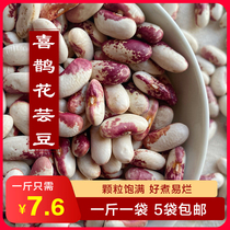 New beans Northeast specialty Magpie flower kidney beans 500g large rice beans soup red and white kidney beans