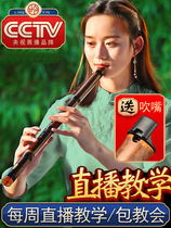 Short Xiao Special Playing Class Professional Dongxiao Section Purple Bamboo Upscale Xiaochu Xiao Xiao Flute G Tune F Tuning National Musical Instrument