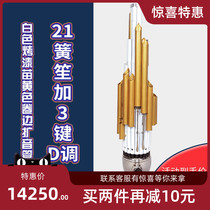 Tianjin Wangs 21 Reed plus 3-key D-tone live Dou Sheng musical instrument Purple Bamboo white paint copper amplifier tube live bucket instrument sheng