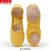 New Morandi color professional ballet dance shoes childrens body cat claws classical pink soft shoes practice shoes