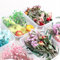 Mei Muer mixed set diy dried flower photo frame Group fan decoration dried flower material diy scented candle dried flower flower material