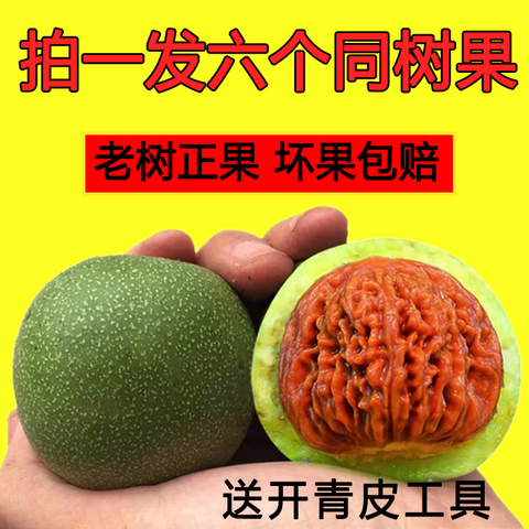 闷尖白狮子头精选和闷尖白狮子头品牌价格与图片-淘宝商品网