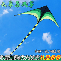 New Weifang grassland children cartoon kite adult special large high-grade long tail breeze easy fly super giant