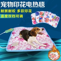 Pet power-off electric blanket into a baby cat constant temperature heating winter heater small dog heating pad electric mattress