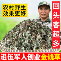 Guangxi wild fresh big leaf Qianqian Grass dried fossil kidney Natural Guangqian Grass soaked in water and dissolved stone tea 500g