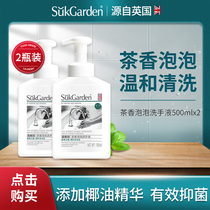 Vegetable garden childrens hand sanitizer Foam type Non-leave-in household bubble hand sanitizer press portable type