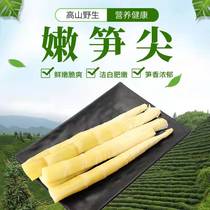 Ancient Shanfu tender tips fresh wild bamboo shoots hot pot Ingredients 500g * 2 packs of non-foaming silk without old roots