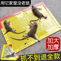 Big sticky mouse board mouse glue sticker super strong household sticky mouse paper to catch and stick mouse sticky board to remove rat artifact a nest end