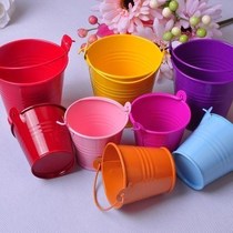 Hot iron bucket flower arrangement device fleshy flower pot Toy bucket Painted bucket with mini candy color small iron bucket