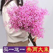 Yunnan starry dried flower bouquet Home furnishings decoration small fresh bedroom living room office ornaments Air-dried