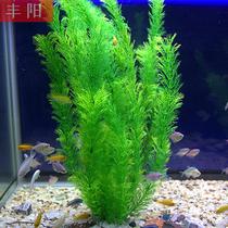 Fish tank decoration simulation aquatic plants aquarium landscaping fake aquatic grass decoration soft aquatic plastic aquatic grass green