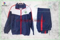 New 271 Education Group School Uniform Junior High School Changle No.2 Middle School Physical Store 271 School Formulates School Uniform