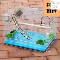 (No giveaway)Pigeon large household chicken cage Matching cage Pigeon cage Rabbit cage Bird cage Pigeon cage 