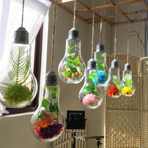 Colored light bulb plastic hanging decoration kindergarten decoration mall classroom corridor roof ring creative hanging decoration layout