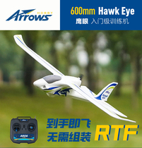 Blue Arrow model 600mm Eagle Eye novice back push entry fixed wing beginner remote control electric model aircraft