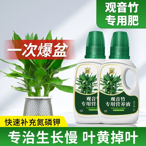 Гуаньян бамбуково -гидропонный продемонстрированное питательное жидко