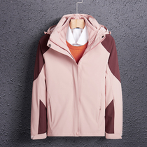 Outlet womens autumn and winter outdoor three-in-one detachable cold-proof clothing windproof waterproof mountaineering clothing group purchase custom jacket