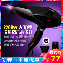 9919 hair salon type 2200W high-power hot and cold wind power hair dryer household blower