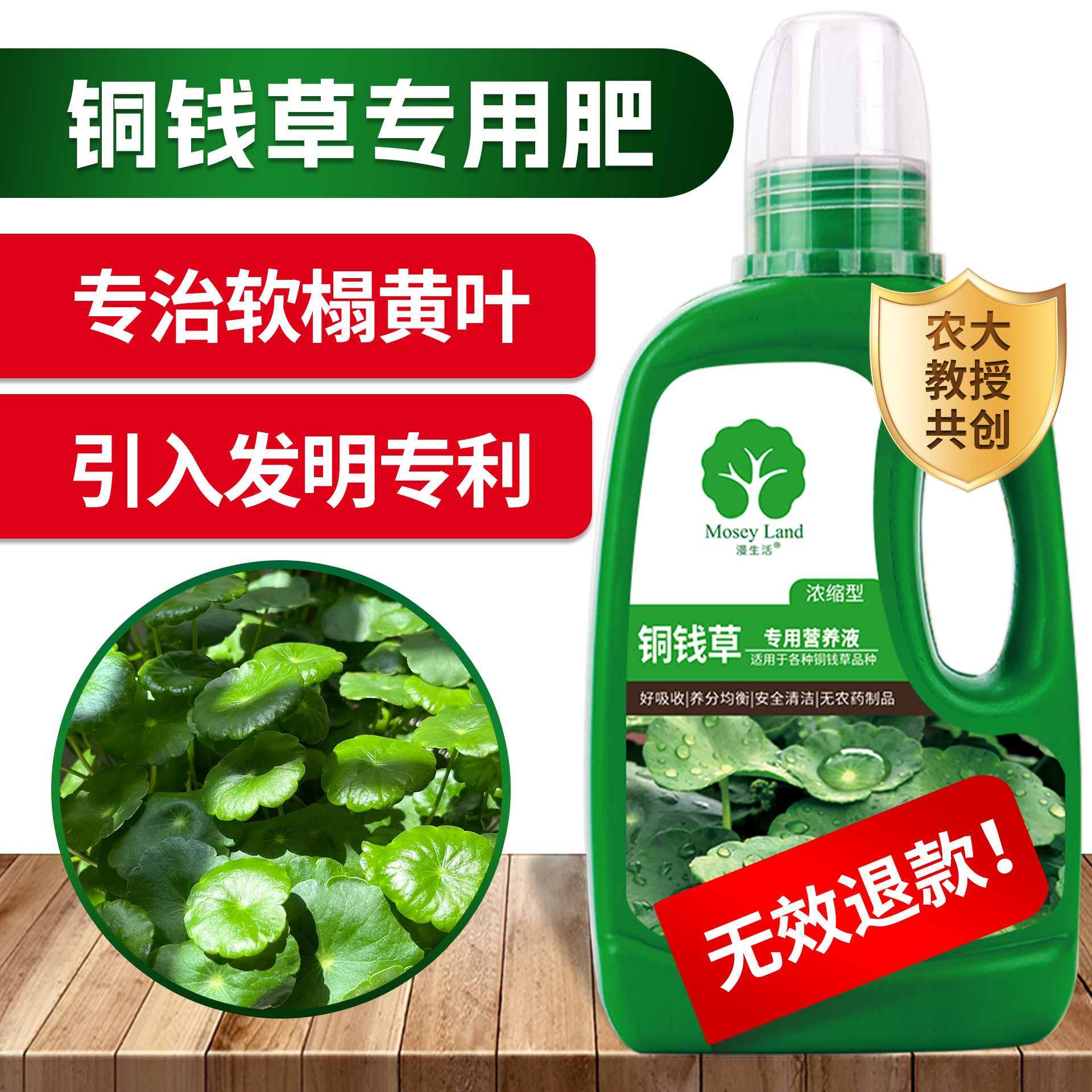 中国 砧形瓶　u6230851 铜钱草水培营养液-铜钱草水培营养液促销价格、铜钱草水培营养液品牌- 淘宝