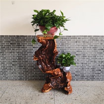 Living room creative curved balcony tree root base bonsai flower stand solid wood floor indoor root carving new products shelf