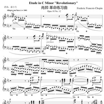 Revolutionary Etude with Fingering pedal Op 10 No 12 in C minor Piano Score Staff 5 pages