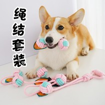 Dog toys Bite-resistant dogs Molar puppies Pets Corgi Teddy French bucket Woven puppy bite rope supplies Ball knot