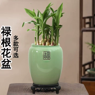 花盆日式禅意-花盆日式禅意促销价格、花盆日式禅意品牌- 淘宝